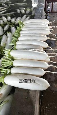 嘉信田秀